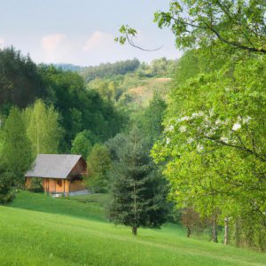 co zwiedzać na obszarze 100 km od katowic